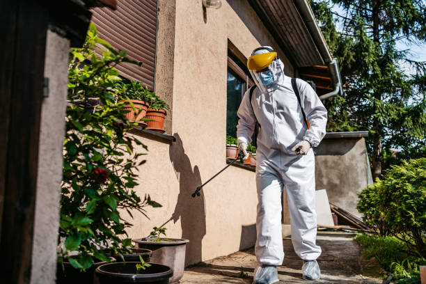 Insect Control in Rexland Acres, CA