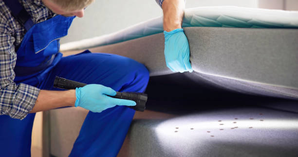 Best Pest Inspection Near Me  in Rexland Acres, CA