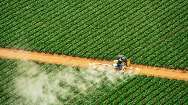 Pest Control for Restaurants in Rexland Acres, CA