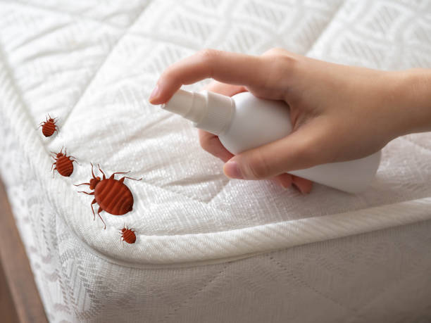 Best Residential Pest Control  in Rexland Acres, CA