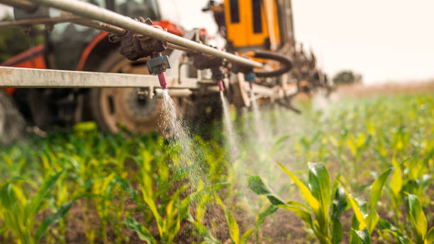 Best Best Pest Control Companies  in Rexland Acres, CA